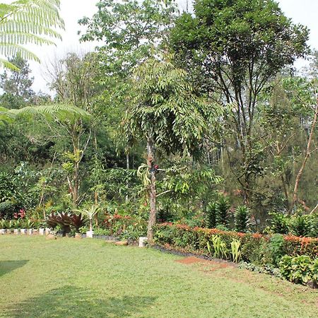 The Forest Villa Bogor Buitenkant foto