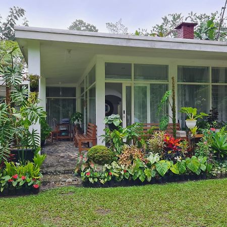 The Forest Villa Bogor Buitenkant foto