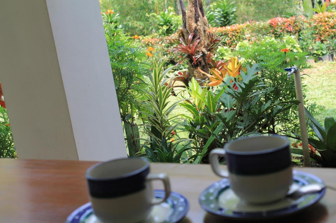 The Forest Villa Bogor Buitenkant foto