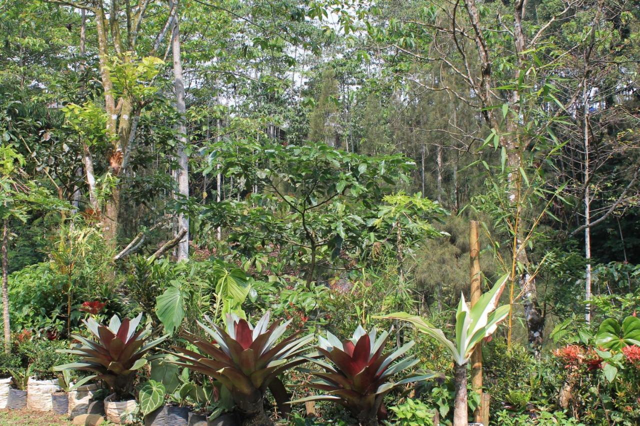 The Forest Villa Bogor Buitenkant foto