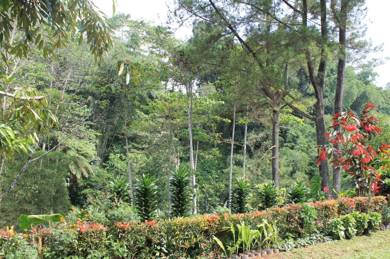 The Forest Villa Bogor Buitenkant foto