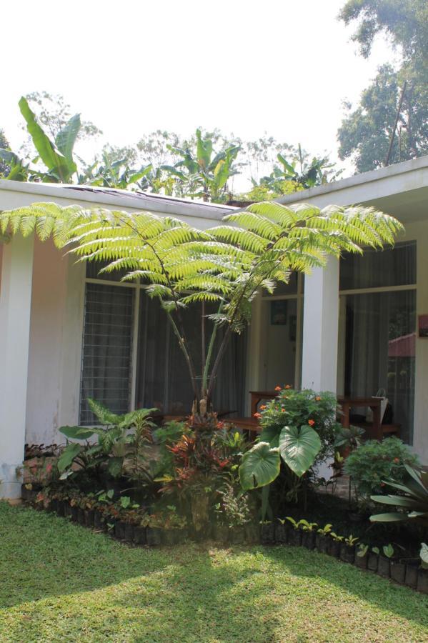 The Forest Villa Bogor Buitenkant foto