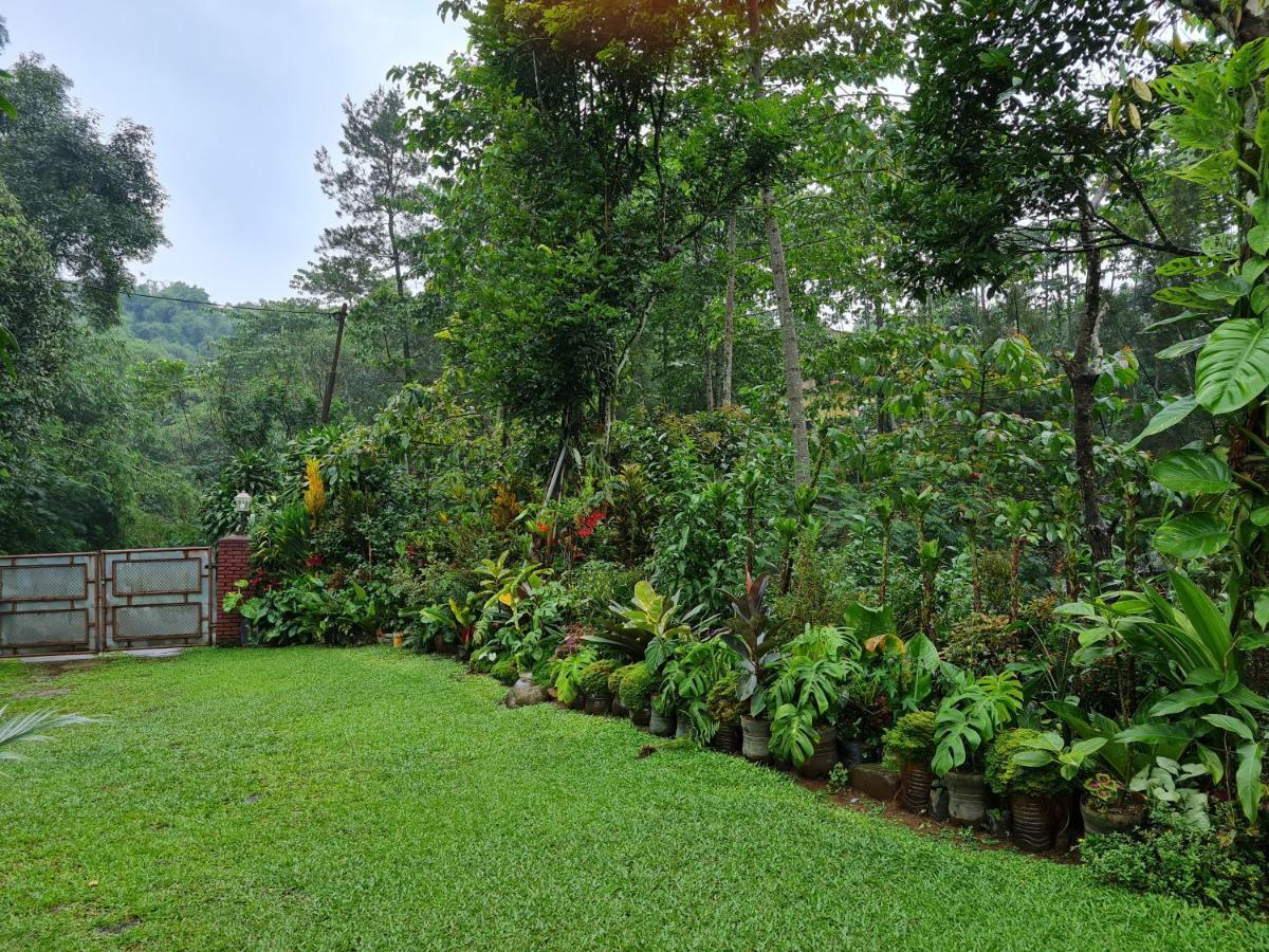 The Forest Villa Bogor Buitenkant foto