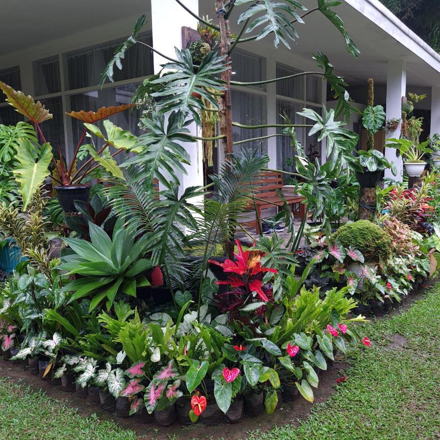 The Forest Villa Bogor Buitenkant foto